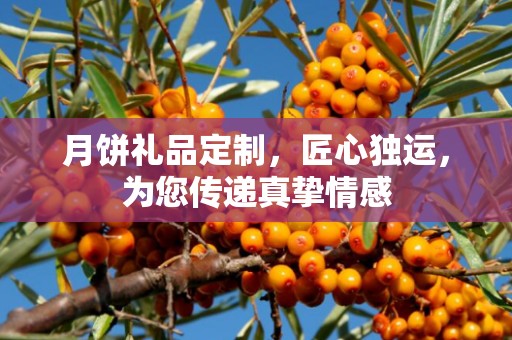月饼礼品定制，匠心独运，为您传递真挚情感